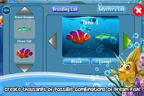 DreamFish(B(yng)~)4.62؈D3