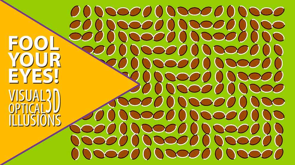 Visual optical illusions 3D(ĹW(xu)X)1.0؈D1