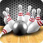 Sg 3D Bowling3.1׿