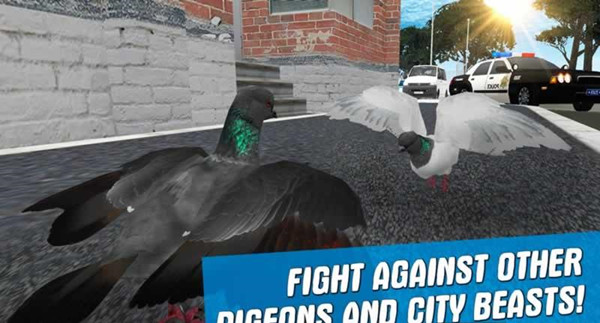 City Bird Pigeon Simulator 3D(֮ģM3D)1.2.0؈D1