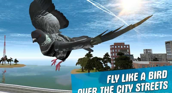 City Bird Pigeon Simulator 3D(֮ģM3D)1.2.0؈D0