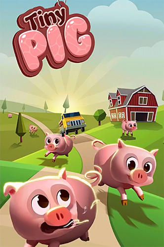 Tiny Pig1.9.0؈D0