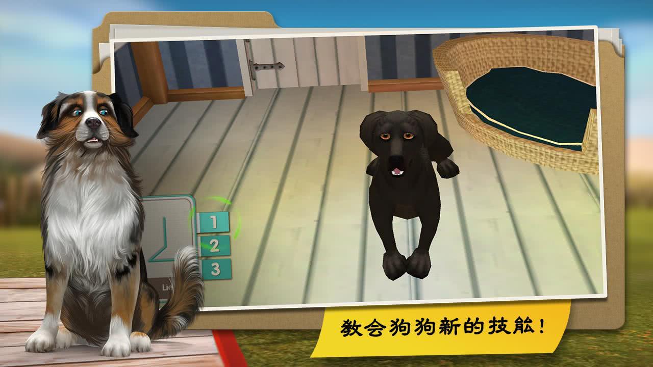 DogHotel(ҵļ޹ Dog Hotel)1.5.2׿؈D3