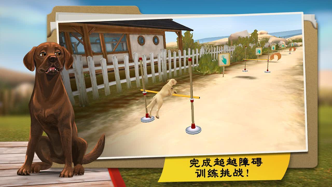 DogHotel(ҵļ޹ Dog Hotel)1.5.2׿؈D1