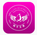 v 1.6.5°