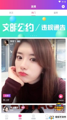 Vͼ2
