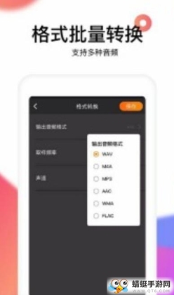 reversevoiceսͼ1