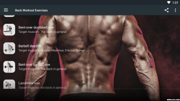 Back Workout Exercises(ض)ͼ1
