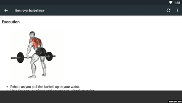 Back Workout Exercises(ض)ͼ3