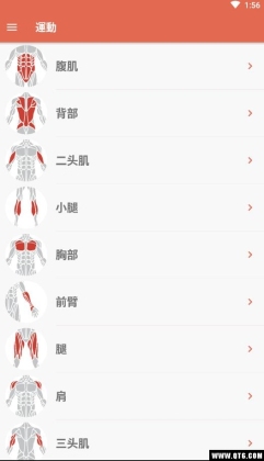 Fitness & Bodybuilding(iרҵ)ͼ0
