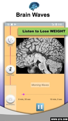 Weight Loss()ͼ2