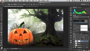 Adobe Photoshop Manuals(适用于PC的Photoshop手册)截图1