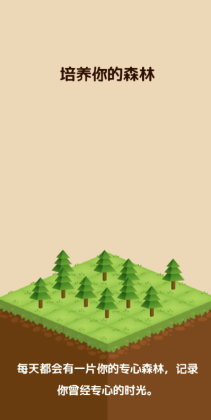 Forest(רעɭ)ͼ2