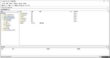Registry Finder(注册表增强小工具)截图2