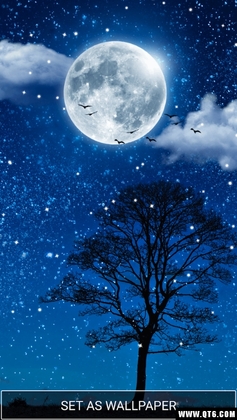 Moonlight Live Wallpaper HD(�¹⶯����ֽ)��ͼ0