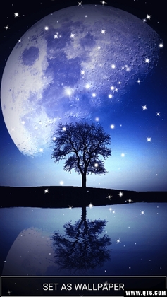Moonlight Live Wallpaper HD(�¹⶯����ֽ)��ͼ1
