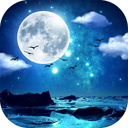 Moonlight Live Wallpaper HD(�¹⶯����ֽ)1.5��׿��