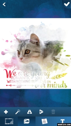 Typography Photo Editor(ŰƬ)ͼ2