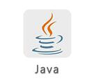 Java Runtime Environment��Java���л�����8.0.221 x64��ʽ��