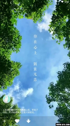 ֽ̬ͼ1