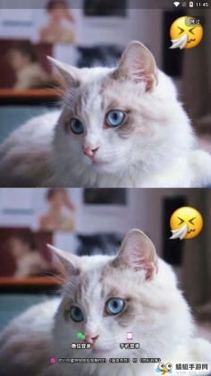 Ƶ༭ͼ0