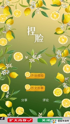 捏脸预览图