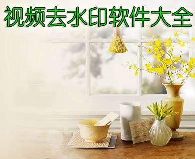 视频去水印app大全-2023视频去水印app-安卓软件排行榜