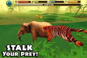 Tiger Simulator 3D(老虎模拟器3D无限金币版)截图2