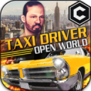 OpenWordTaxiDriver(ʽ⳵˾Ұ)3.5׿