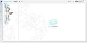 bkviewer.pro(数码照片浏览器)绿色单文件版截图0
