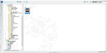 bkviewer.pro(数码照片浏览器)绿色单文件版截图2