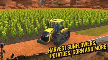 FS 14(ģũ14޽Ұ)ͼ0