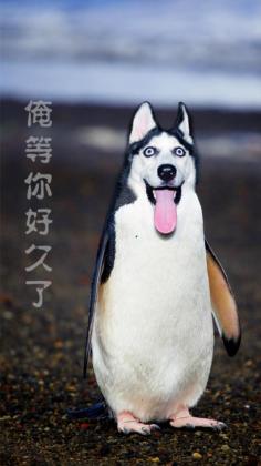 ˹ٷͼ0