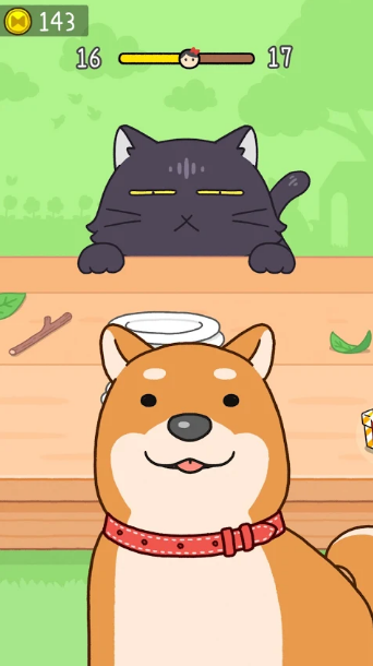 别被猫发现了最新版 别被猫发现了最新版