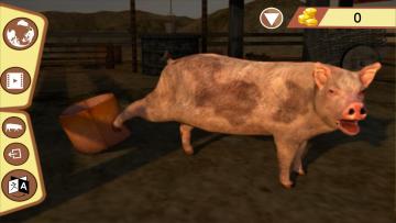 һֻ�������е�����׿���ͼ0