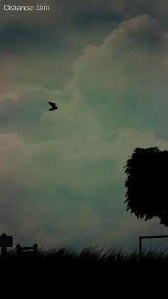 最后的生存鸟官方版截图3