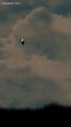 最后的生存鸟官方版截图1