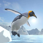 Arctic Penguin(ٷ)1.0׿