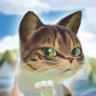 è֮ٷ1.0.8׿