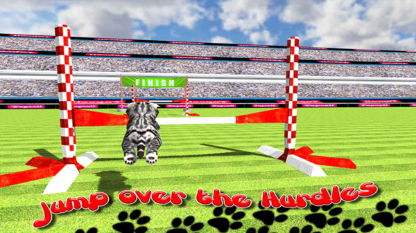 猫咪运动会官方版1.5最新版截图1