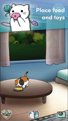 Neko Atsume(è���ռ����޽�Ұ�)��ͼ2