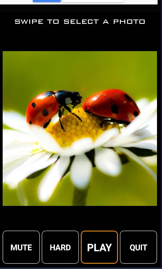 ư��ƴͼ������3.0���°��ͼ1