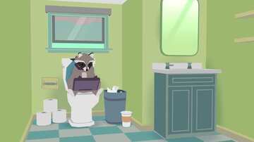 Donut County(����Ȧ֮���ٷ���)��ͼ0
