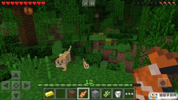 Minecraft(ҵһɱ޵а)ͼ2