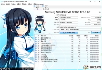 CrystalDiskInfo(硬盘状态检测器)萌妹版截图1