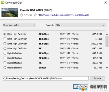 4K Video Downloader(YouTubeƵع)ͼ1