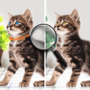 �Ҳ�һ��ƻ����1.8�ٷ���