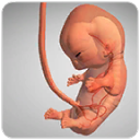 9 Months(ʷʯ)1.13.1׿