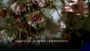 怪诞牧歌官方版截图0
