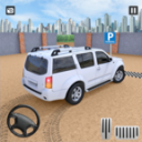 Advance Crazy Dr Parking: Real Parker 2020(߼ͣٷ)0.1׿
